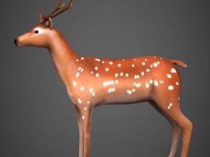 game ready low poly deer Modelo 3D