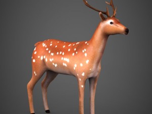 game ready low poly deer Modelo 3D