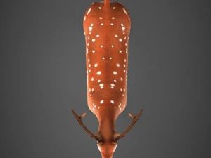game ready low poly deer 3D Model