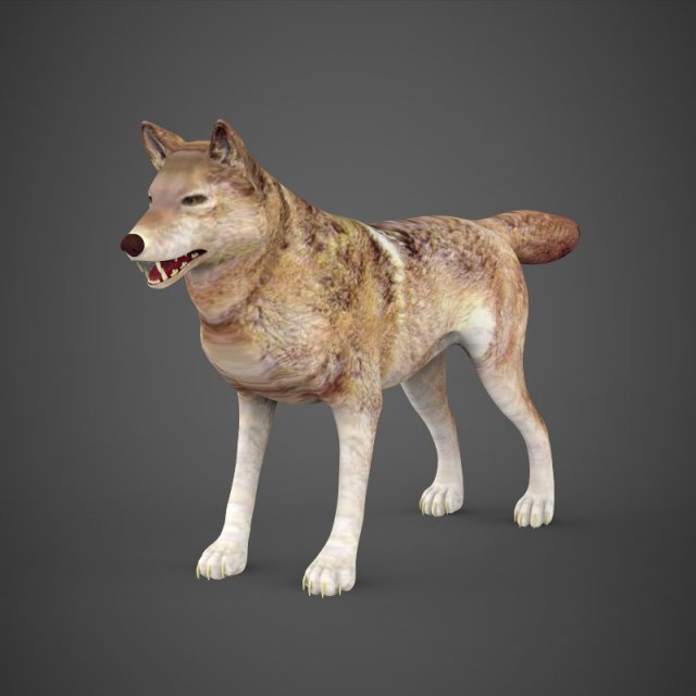 game ready wolf Modèle 3D .c4d .max .obj .3ds .fbx .stl .blend 