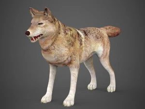 lobo pronto para o jogo Modelo 3D