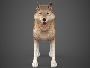 game ready wolf Modèle 3D