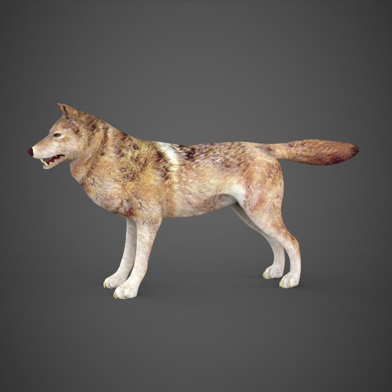 Модель wolf. Wolf 3d NFT collection. IFI Wolf model.