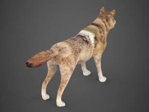 game ready wolf 3D Model