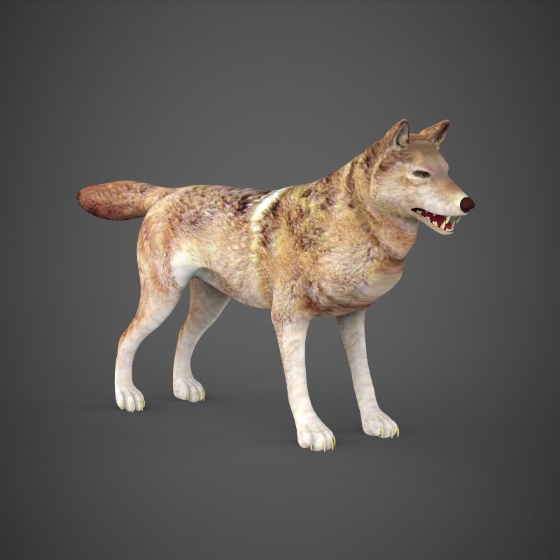 Wolf models. Волк 3д модель. Волк Low Poly. Wolf 3d model. Wolf 3d.