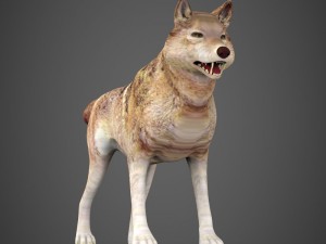 game ready wolf Modèle 3D