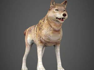 game ready wolf 3D Model