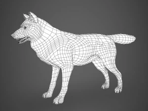 game ready wolf 3D Model