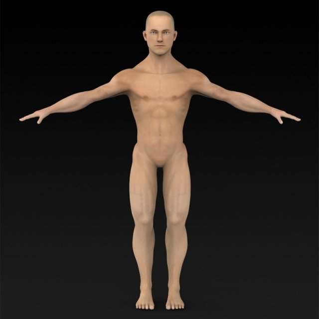 game ready muscular human 3D Model .c4d .max .obj .3ds .fbx .stl .blend 