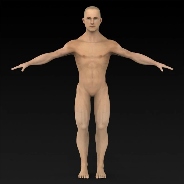 game ready muscular human 3D Model .c4d .max .obj .3ds .fbx .stl .blend 