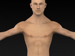 game ready muscular human 3D Model