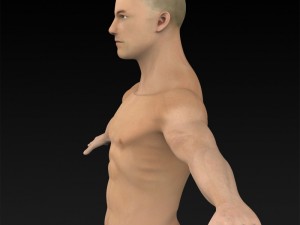 game ready muscular human 3D Model