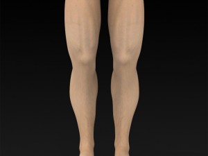 game ready muscular human 3D Model