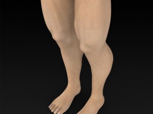 game ready muscular human 3D Model
