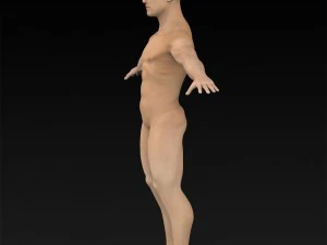 game ready muscular human 3D Model
