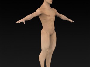 game ready muscular human 3D Model
