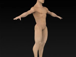 game ready muscular human 3D Model