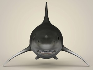 game ready realistic shark 3Dモデル