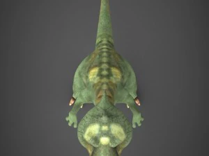 game ready baby dinosaur 3D Model