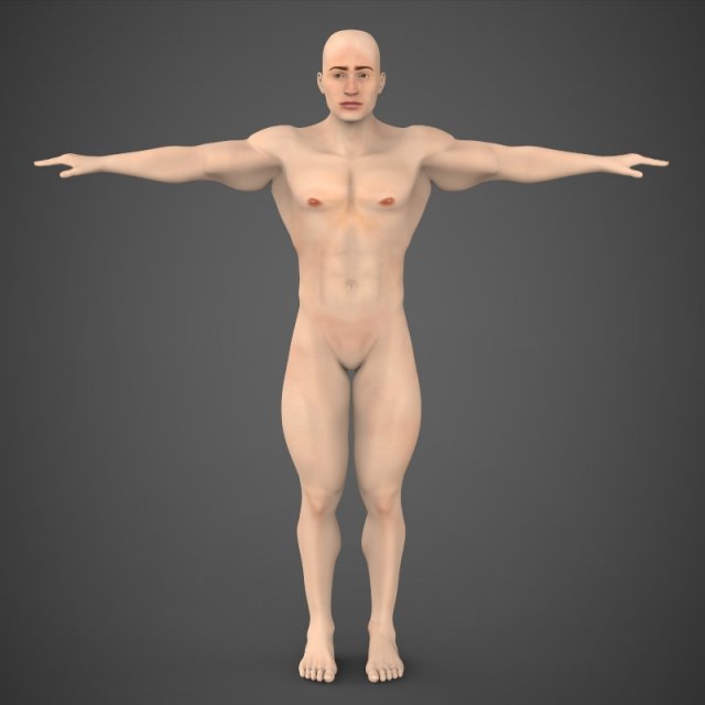 game ready muscular male Model 3D .c4d .max .obj .3ds .fbx .stl .blend 