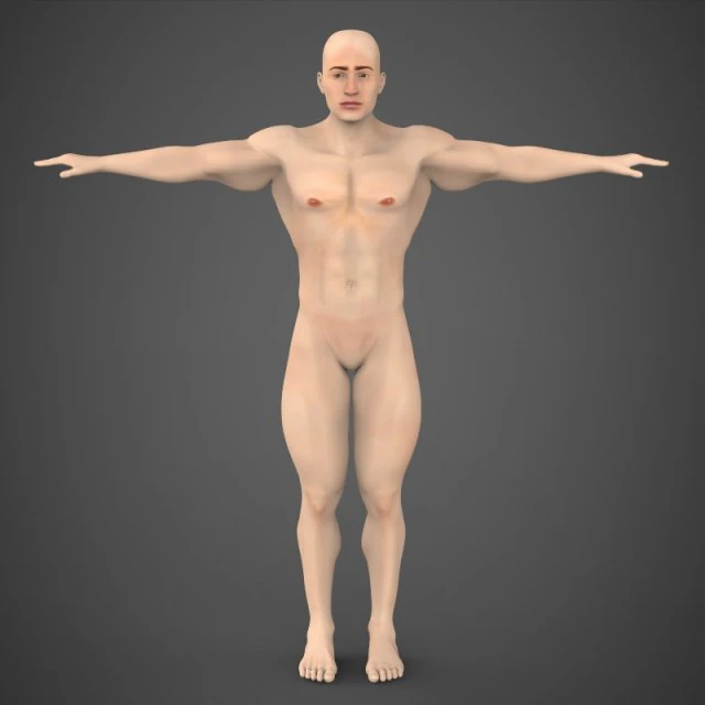 game ready muscular male 3D Model .c4d .max .obj .3ds .fbx .stl .blend 