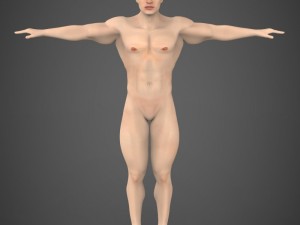 game ready muscular male Modelo 3D