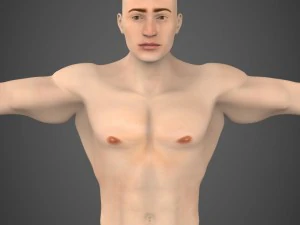 game ready muscular male 3D Model