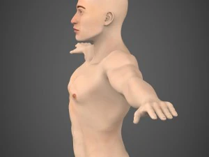 game ready muscular male 3D Model