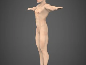 game ready muscular male 3D Model