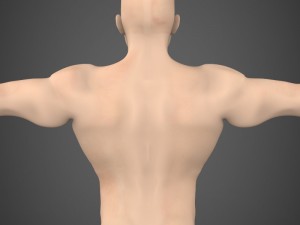 game ready muscular male Model 3D