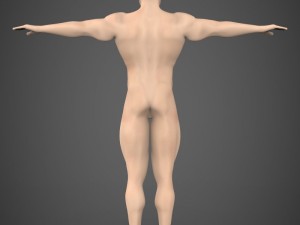 game ready muscular male Model 3D