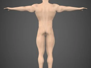 game ready muscular male 3D Model