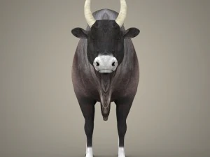 bue realistico pronto per il gioco Modello 3D