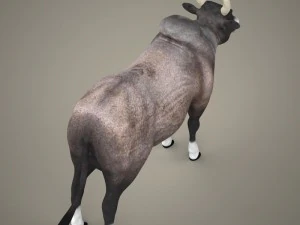 bue realistico pronto per il gioco Modello 3D