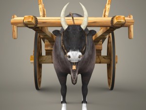 game ready realistic ox cart 3D Модель