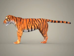 cole&ccedil;&atilde;o tigre le&atilde;o leopardo preto Modelo 3D