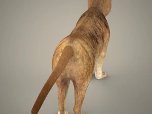 cole&ccedil;&atilde;o tigre le&atilde;o leopardo preto Modelo 3D