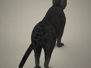 cole&ccedil;&atilde;o tigre le&atilde;o leopardo preto Modelo 3D