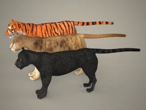 cole&ccedil;&atilde;o tigre le&atilde;o leopardo preto Modelo 3D