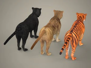 cole&ccedil;&atilde;o tigre le&atilde;o leopardo preto Modelo 3D