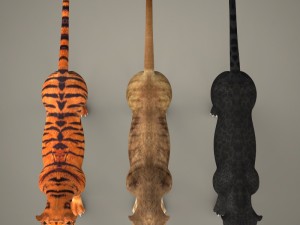 tiger lion black leopard collection 3D Model