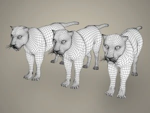 cole&ccedil;&atilde;o tigre le&atilde;o leopardo preto Modelo 3D