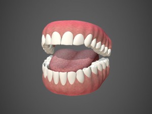 Young beautiful woman tanisha 3D Model