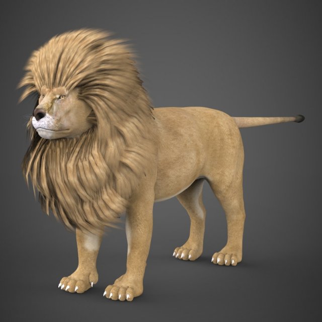 realistic lion 3D Model .c4d .max .obj .3ds .fbx .stl .blend 