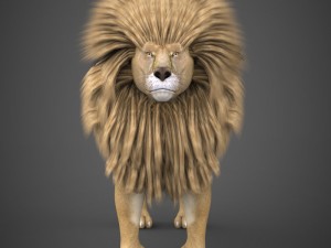 realistic lion 3D Model