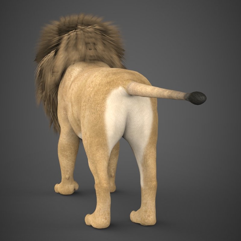 Realistic Lion 3D Model in Wildlife 3DExport