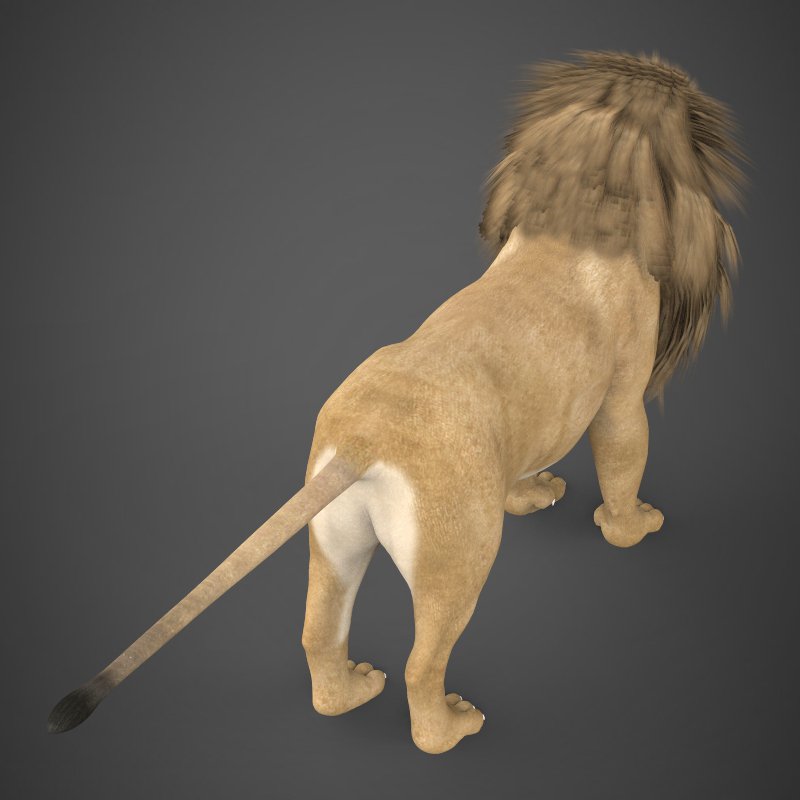 Wild life 3d. Лев 3d model. Игра про Льва реалистичная. Огромный реалистичный Лев подвижный. Вязаный реалистичный Лев.