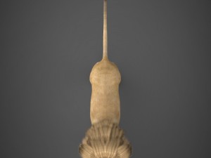 realistic lion 3D Model