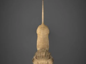 leone realistico Modello 3D