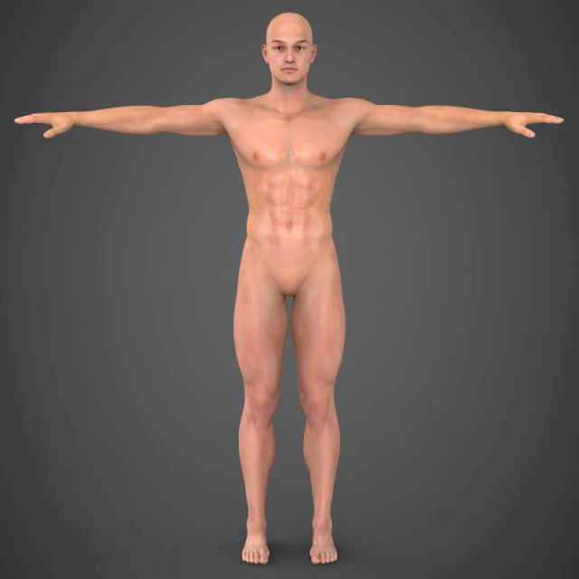 realistic male robert 3D Model .c4d .max .obj .3ds .fbx .stl .blend